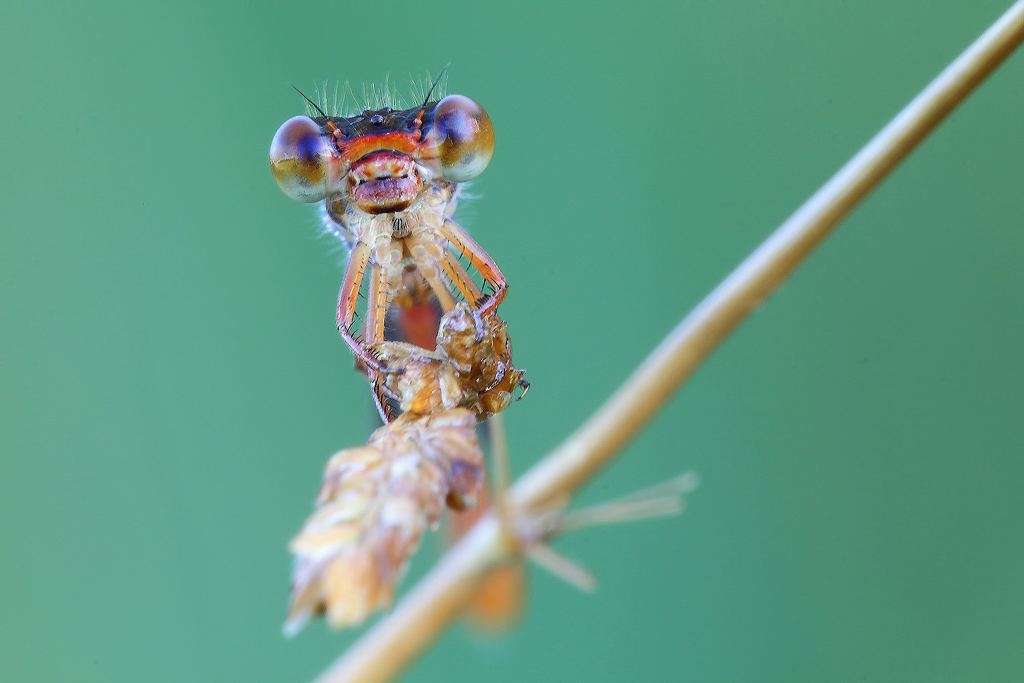 Come Due Specchi...!!!