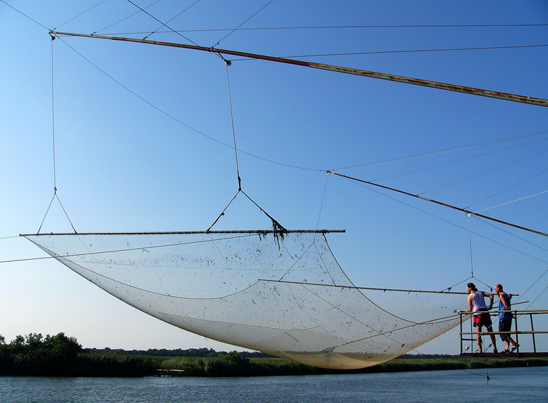 grandi reti per piccoli pesci