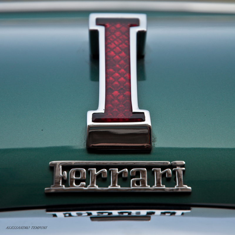 1000 Miglia 2011 #13