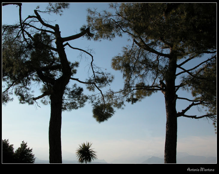 Mamma, Pap� e figlio!