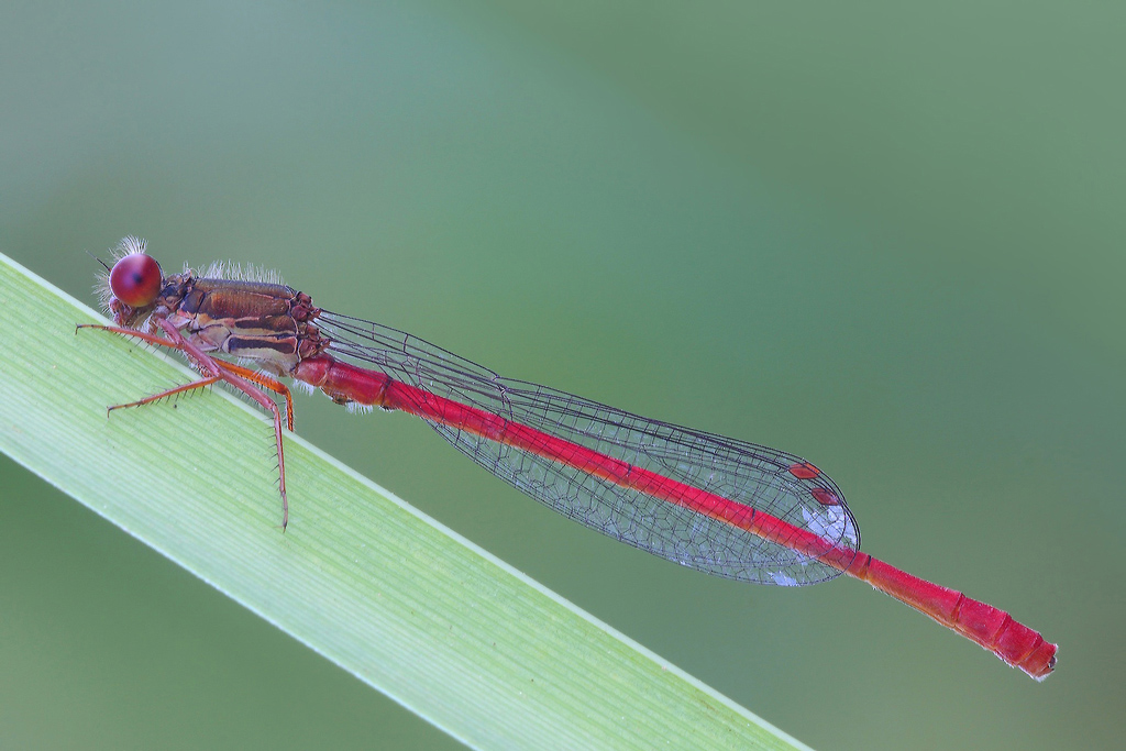 In Posa Solo Per Me...!!!