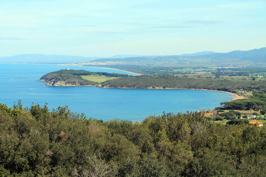 baratti