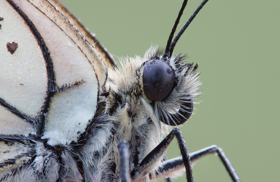 Manie di grandezza...