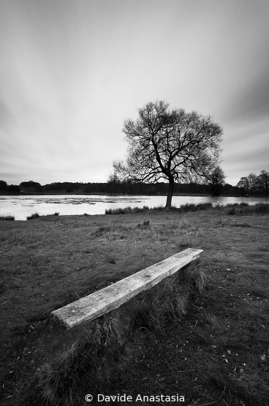 Richmond Park, London