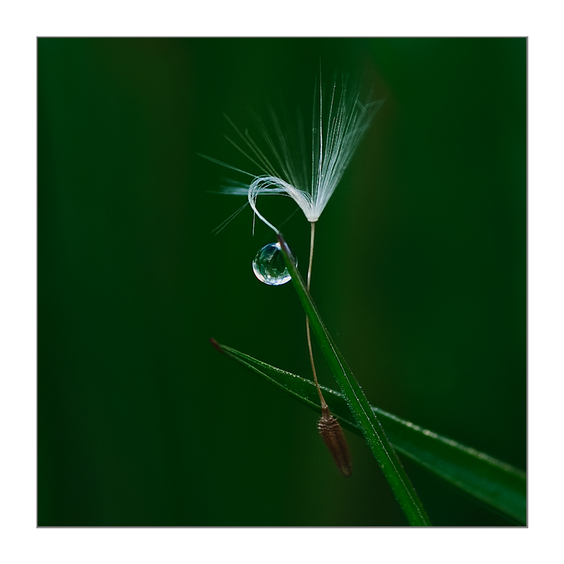 sinfonia della natura..