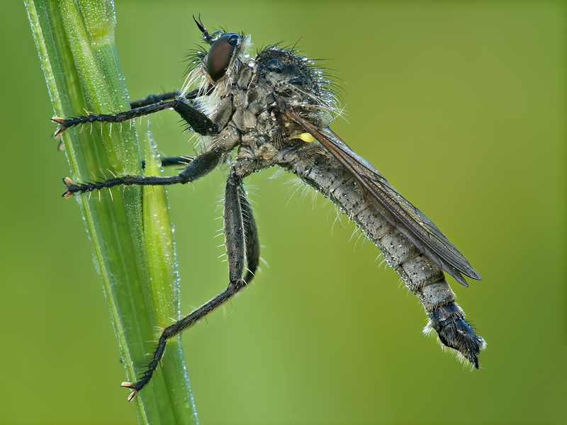 Il riposo del guerriero....