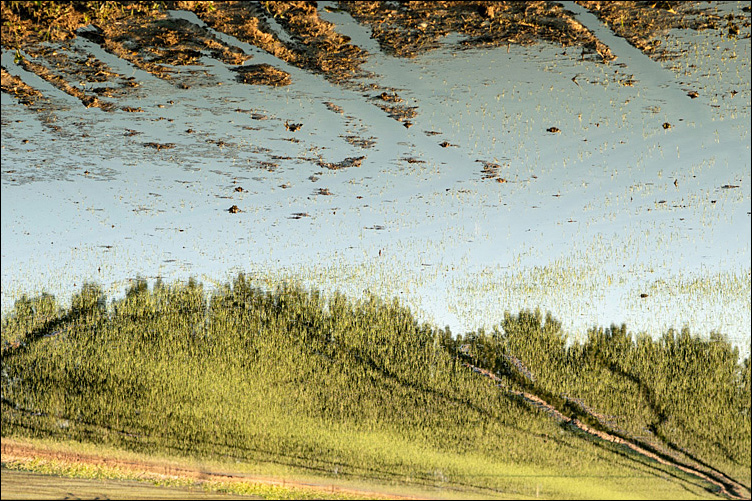 Nuvole di fango..e boschi di riso