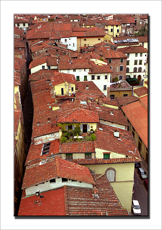 Lucca dall'alto