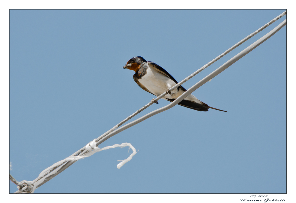 l'ho beccata al volo..ora me la mangio in pace