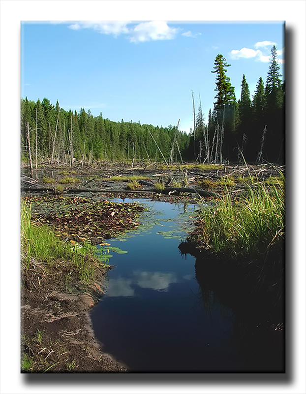 Un classico dal Canada