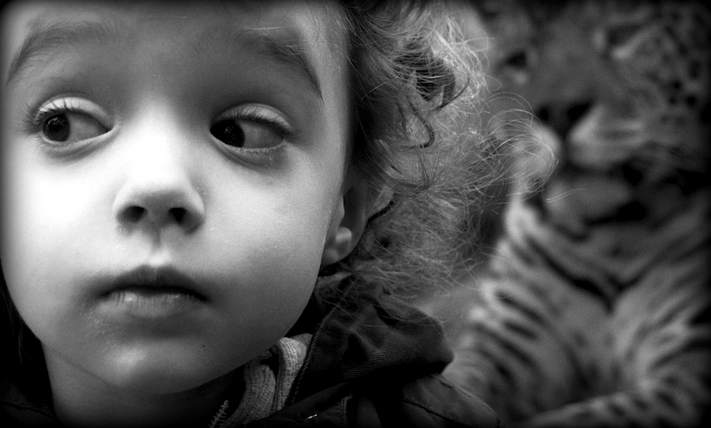 Oh Oh, mi � semblato di vedele un gatto..