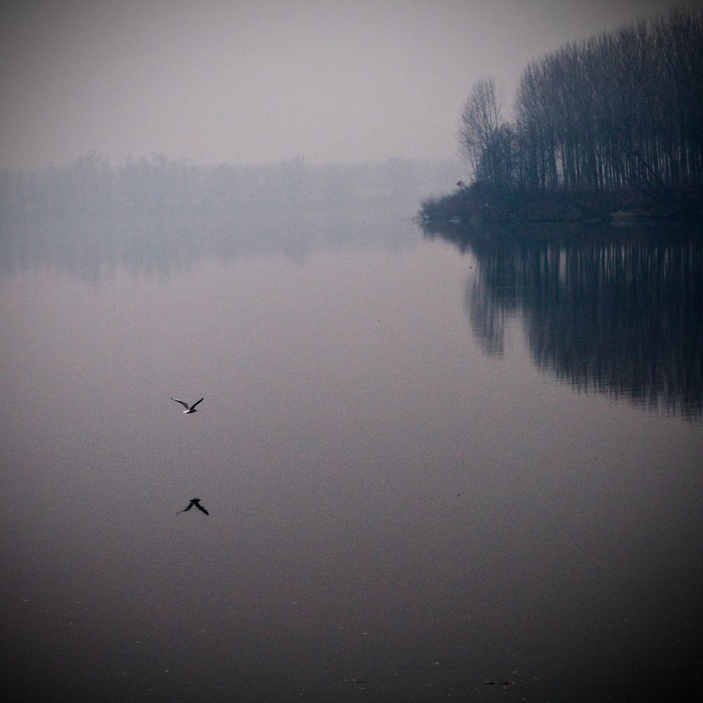 Il grande fiume a Piacenza