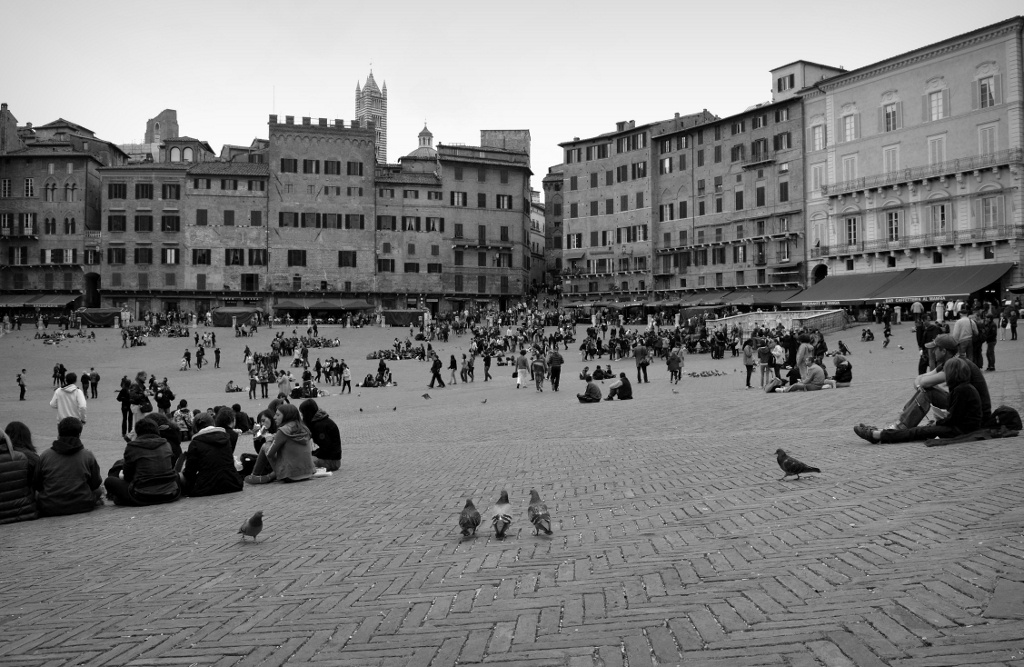 Il Turismo secondo i piccioni