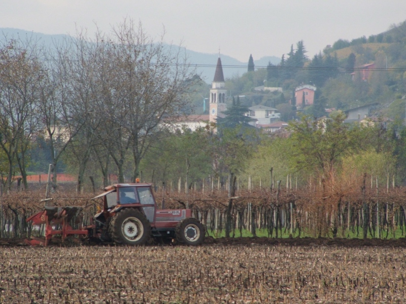 paesaggio agreste