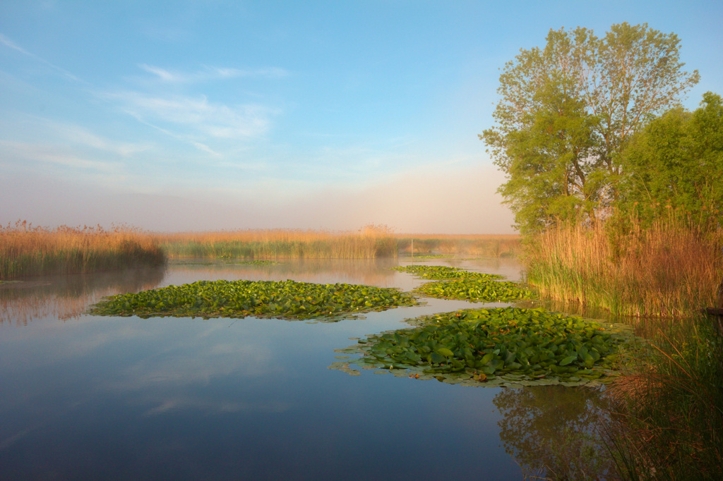 Alba al lago di Colfiorito