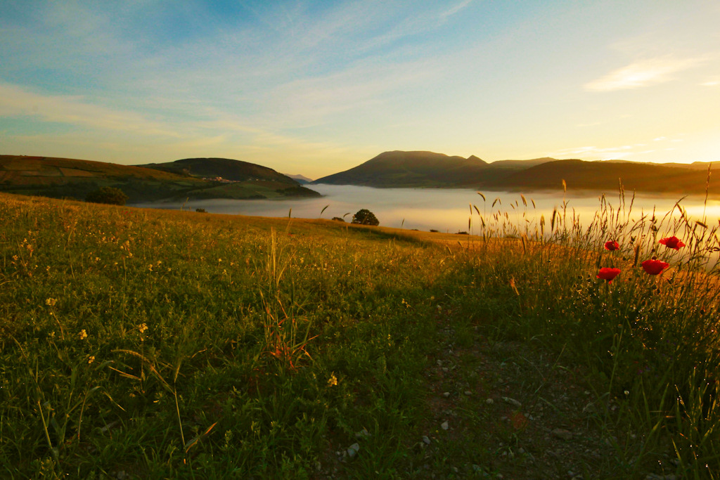 Le prime luci dell'alba