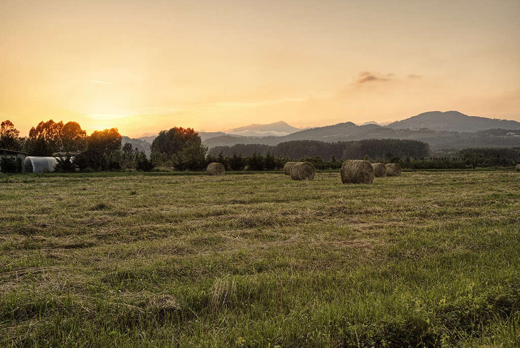 Campagna Toscana