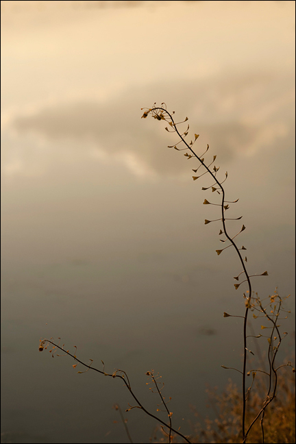 ...nell'ultima luce.