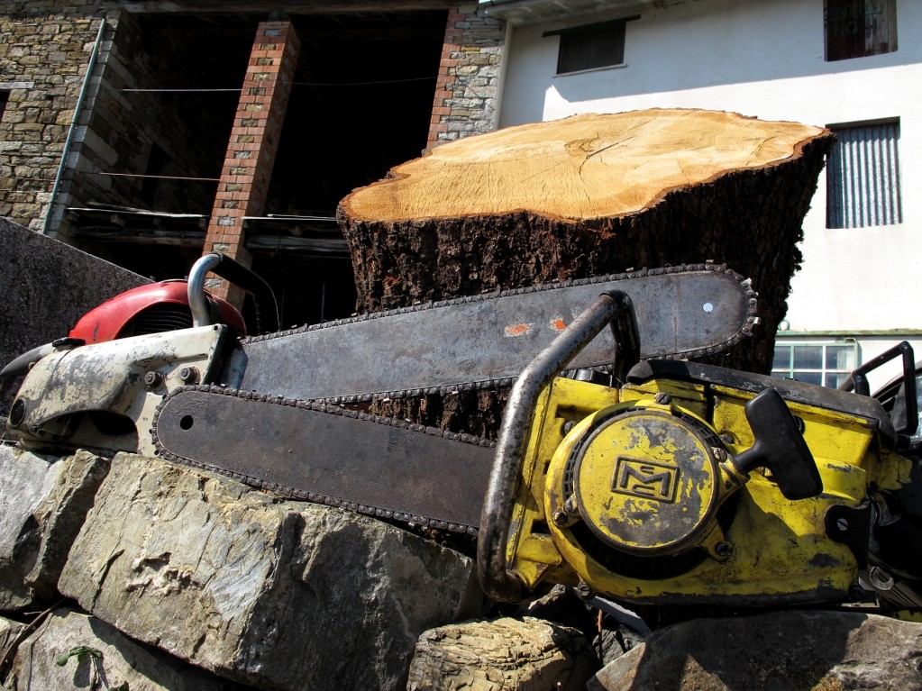 Attrezzi del boscaiolo