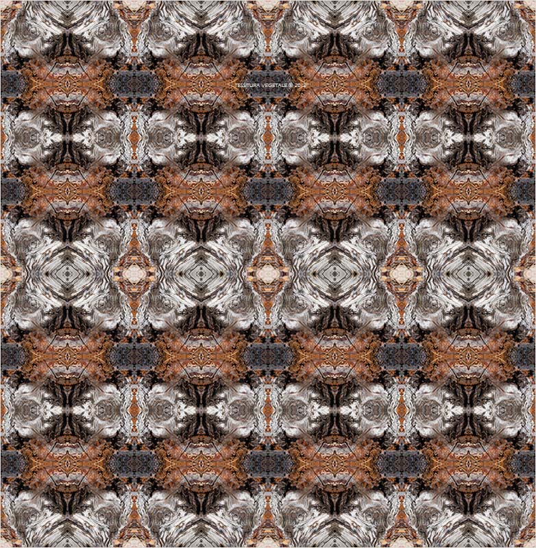 Tessitura vegetale � 2012