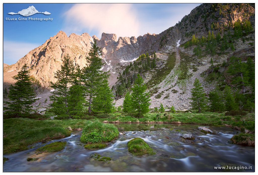 Welcome to my Paradise