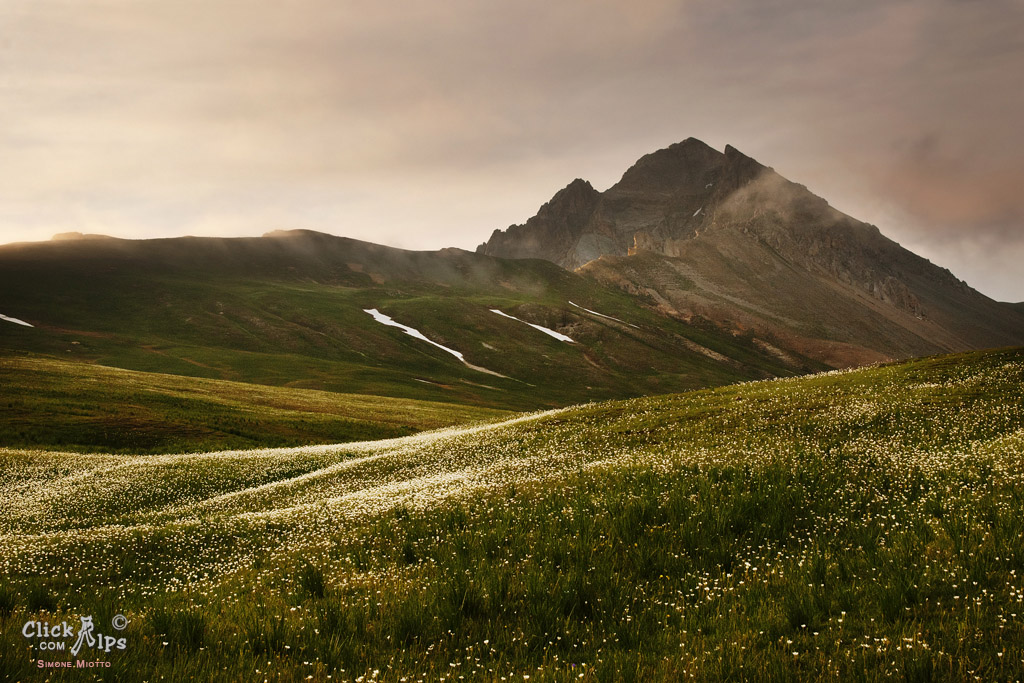 Grazing light on the fields