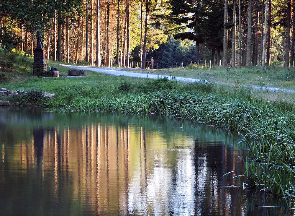 Un angolo di Paradiso
