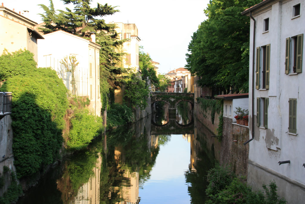 Dove esporre e dove focheggiare