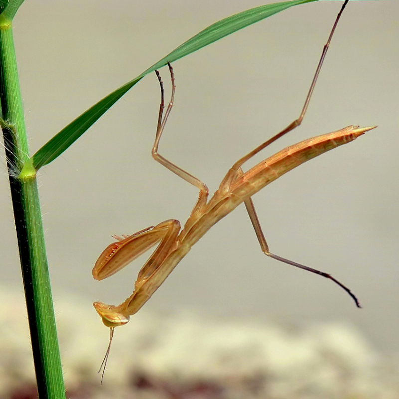 *** Fortuna che mi son aggrappata al bordo della foto....altrimenti ne cadevo fuori ***