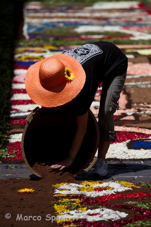 INFIORATA 2012