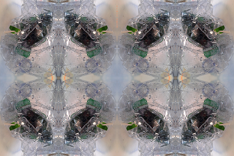 Trans immagine � 2012