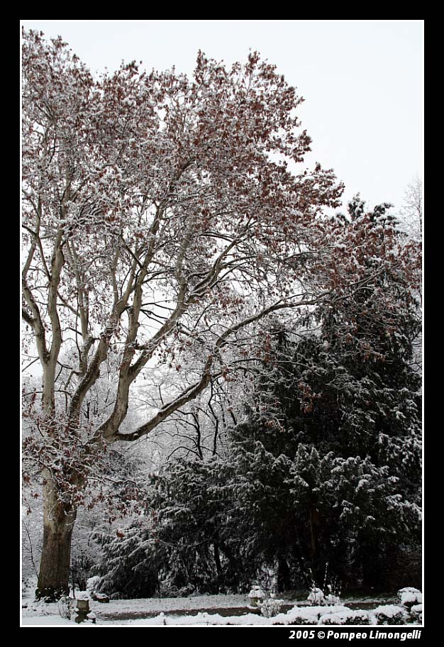 al parco dopo una nevicata 2