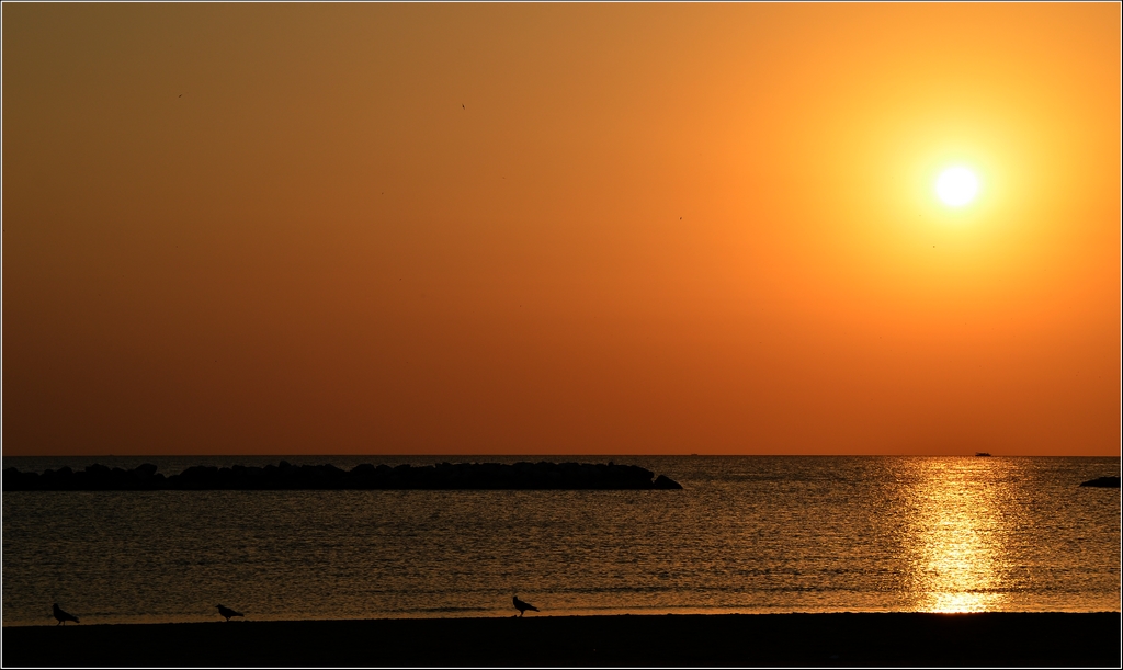 i tre corvi all'alba