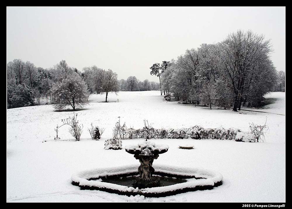 al parco dopo una nevicata 5