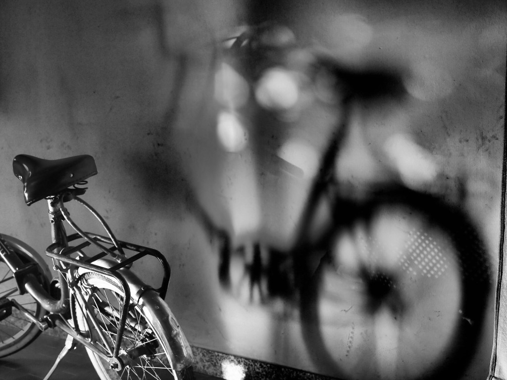 la bici e la sua ombra