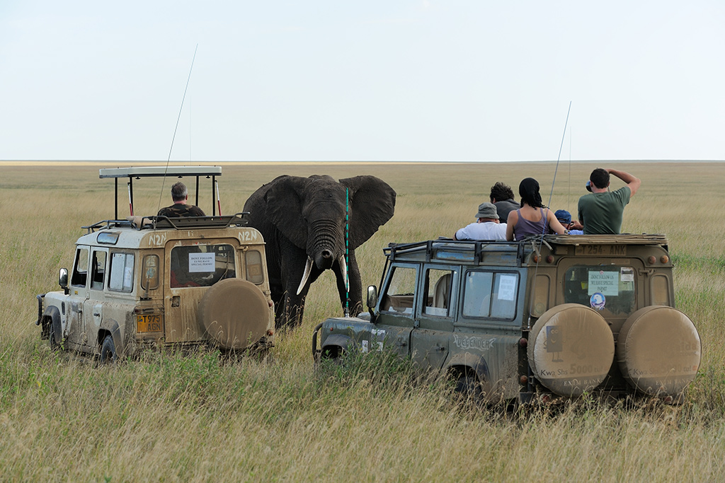 Incontri (molto) ravvicinati