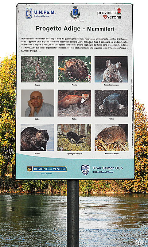 non tutti da proteggere