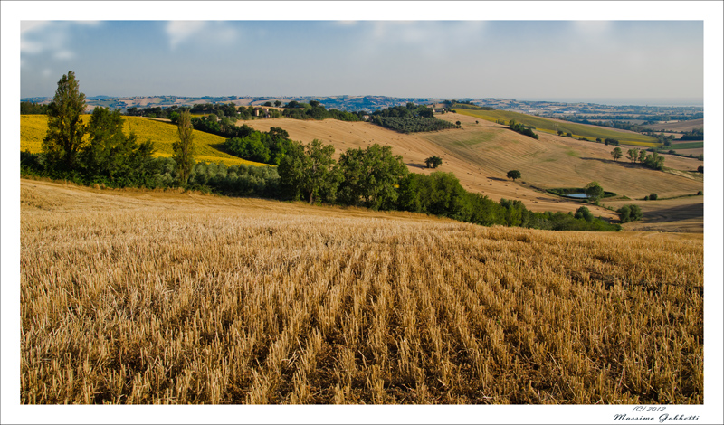 Campagne Marchigiane, Monterado (AN)