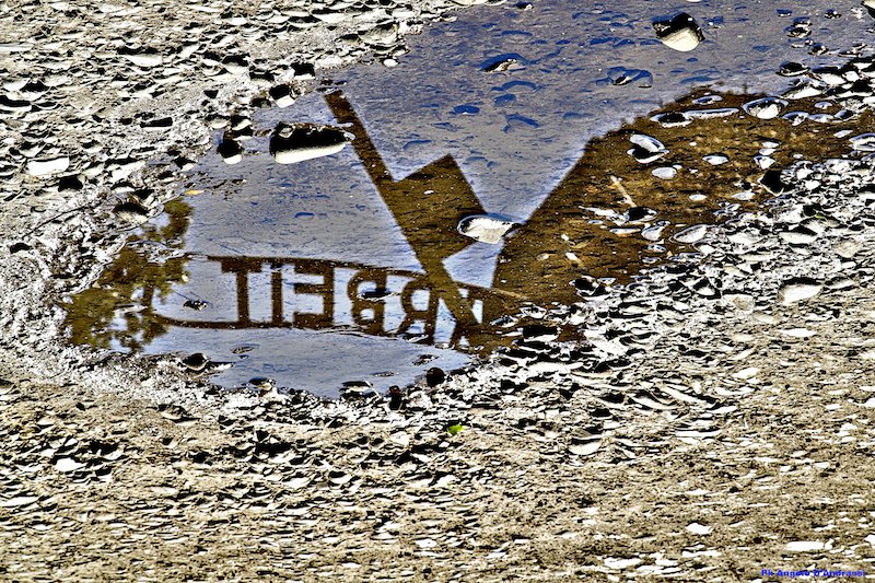 Auschwitz....dettagli