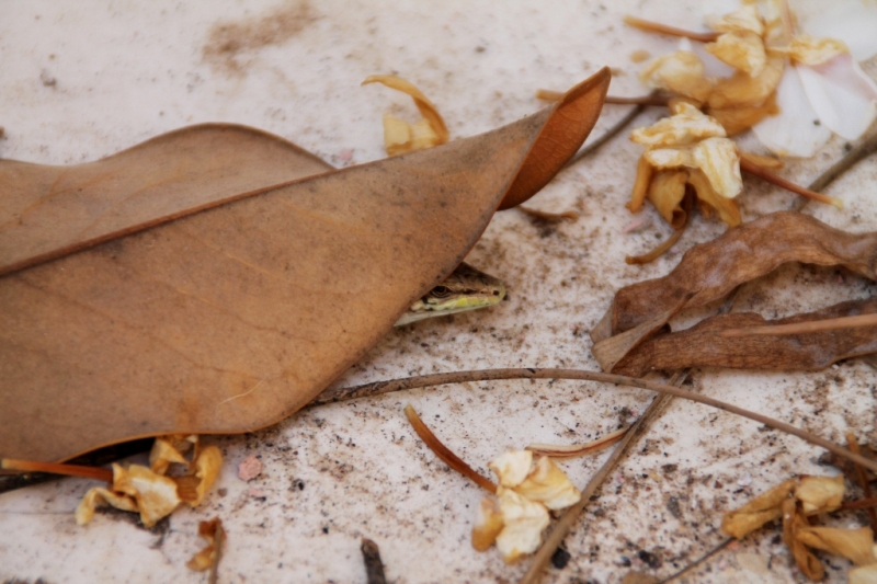 Una giornata di caldo...