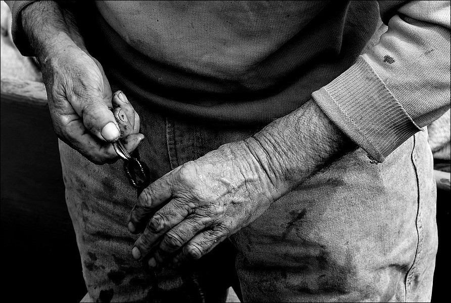 Le mani del pescatore