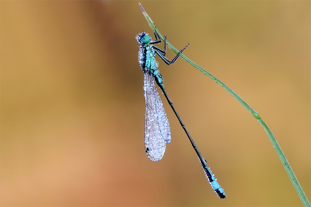Nella Terra Del Fuoco !!!