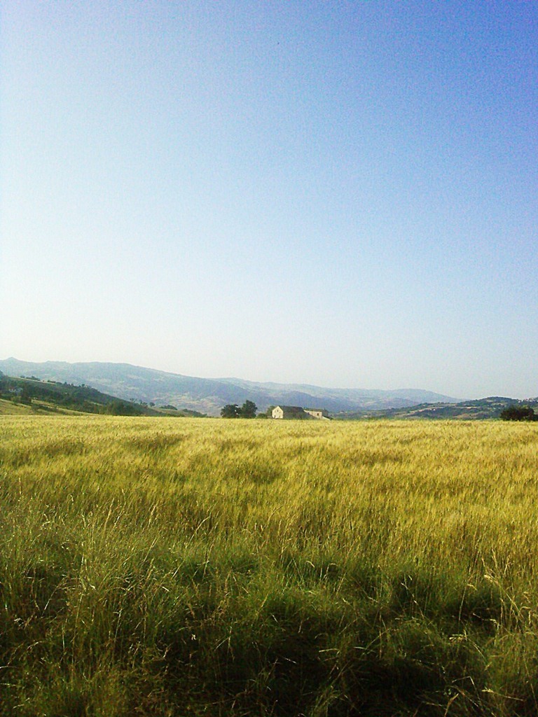 Una passeggiata in campagna...