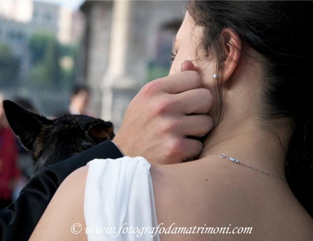 Ti amer� sempre...