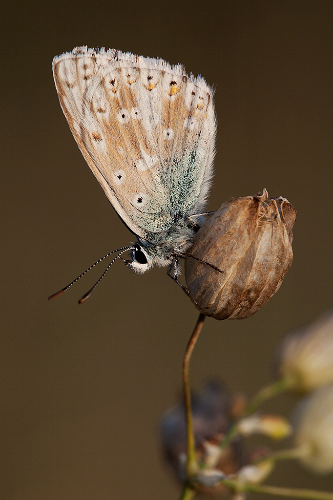 Gli ultimi raggi di sole ...