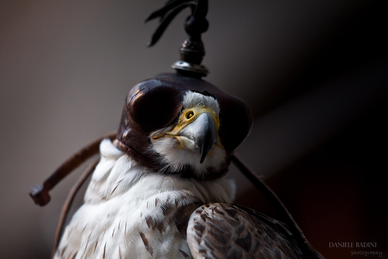 cacciatore...di un tempo passato..