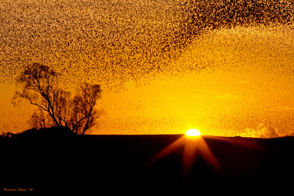 Storni al tramonto