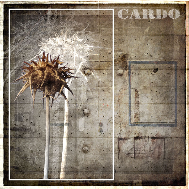 CARDO