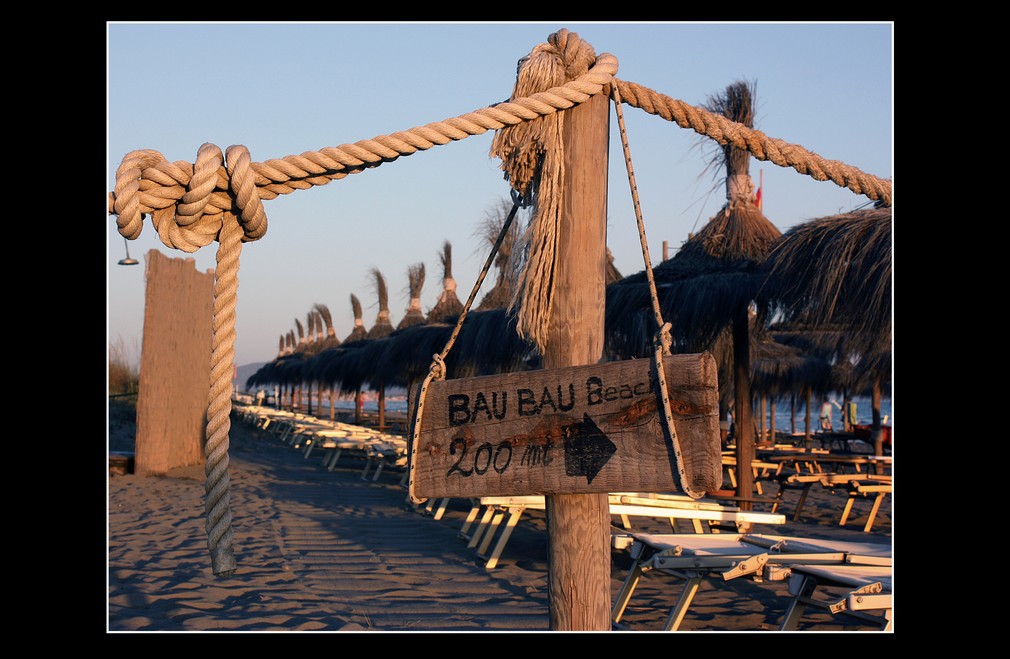 contro l'abbandono: "perch� no?? cane e uomo in spiaggia si pu�! :-)