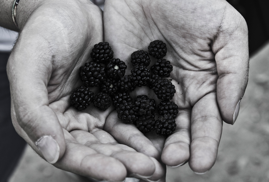 berries in my hands
